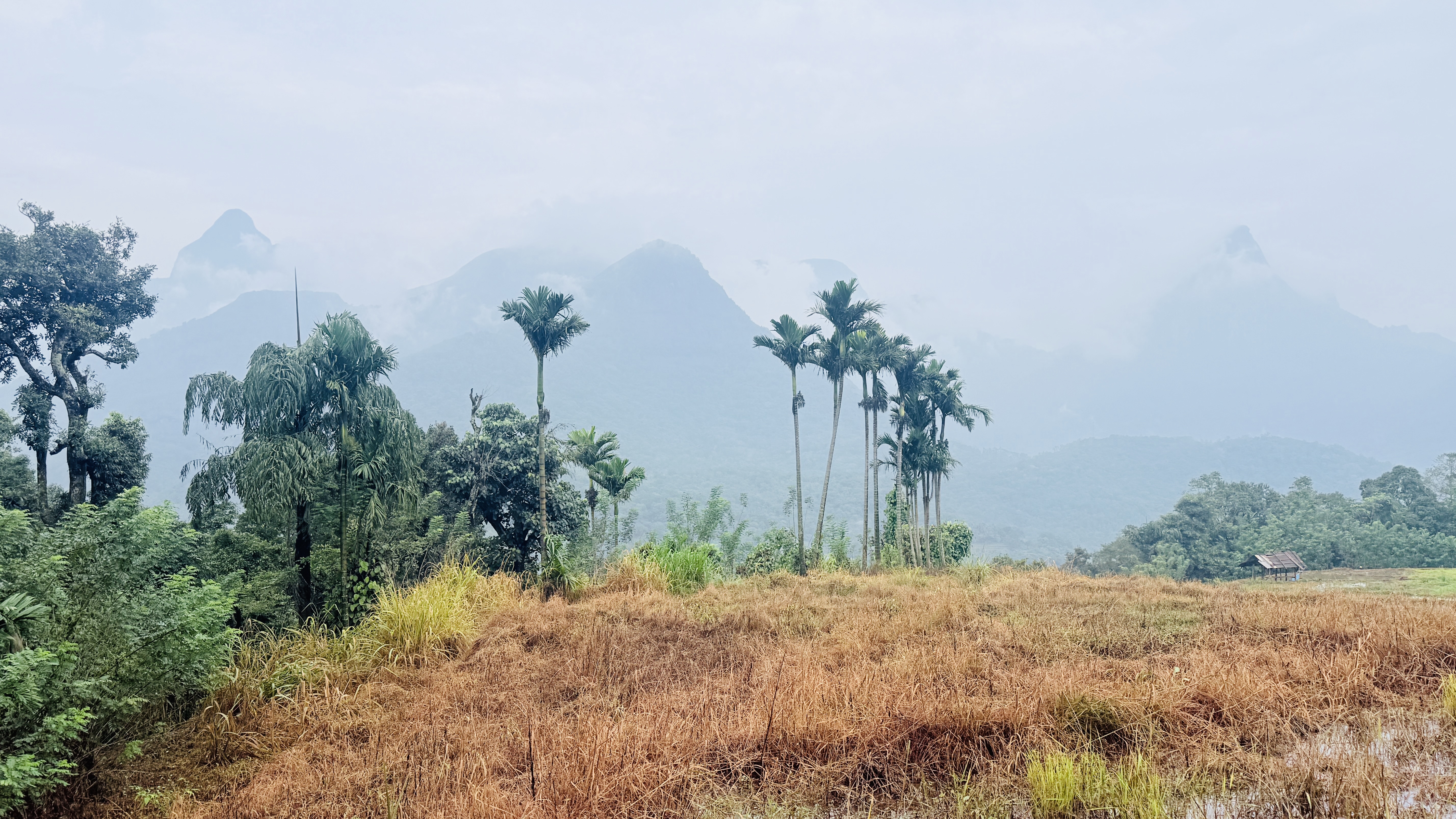 Knuckles Mountain Range