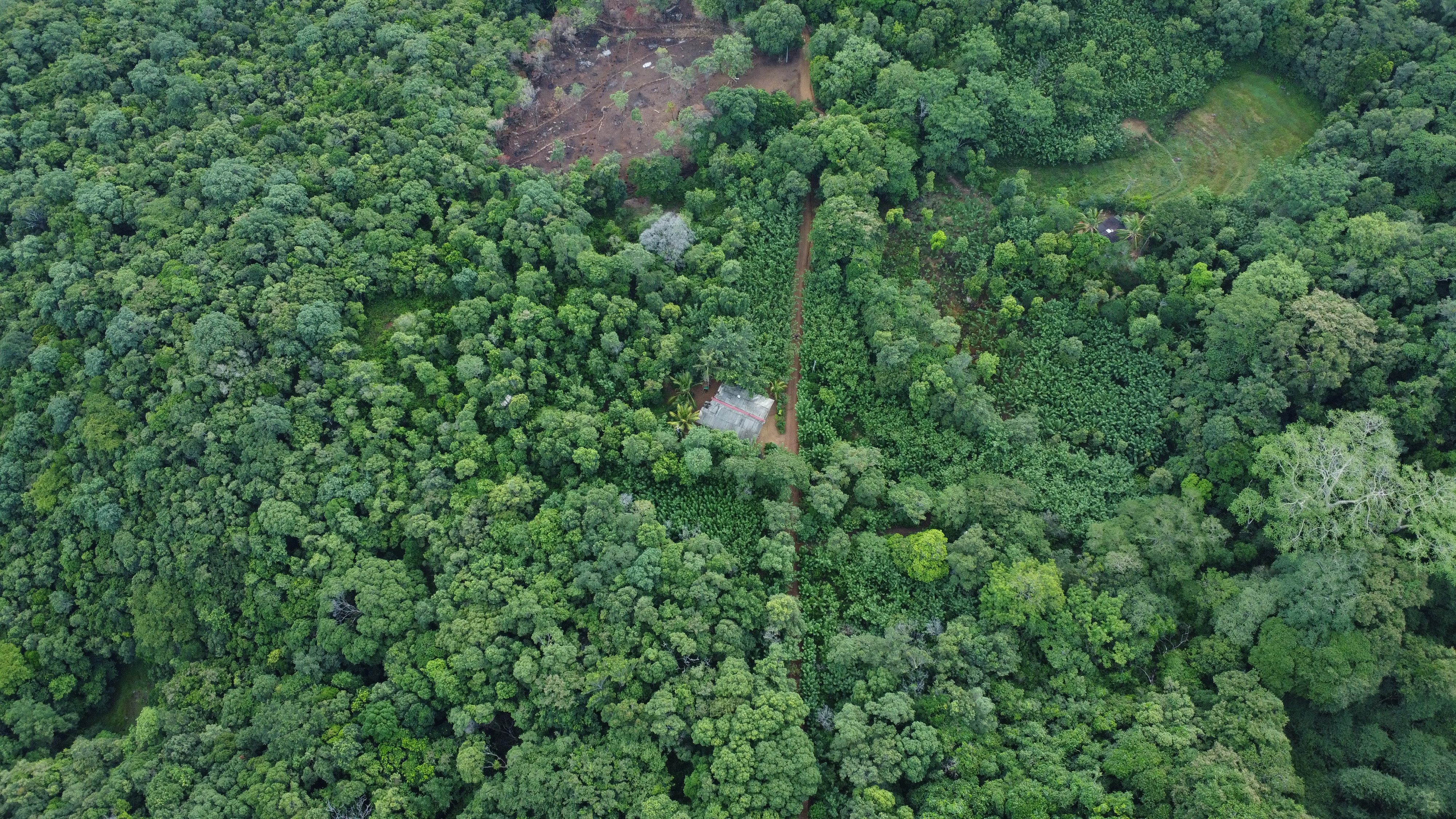 Knuckles Mountain Range