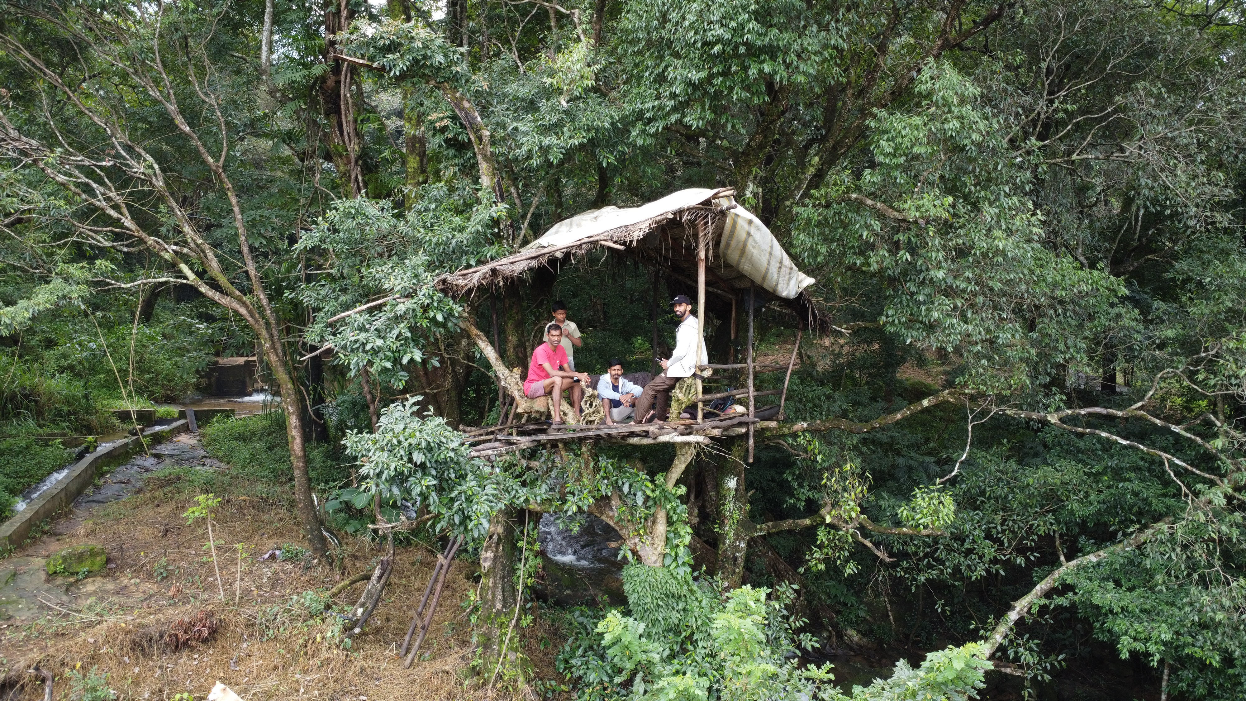 Na Ela Tree Hut | Knuckles Forest Canopy Experience