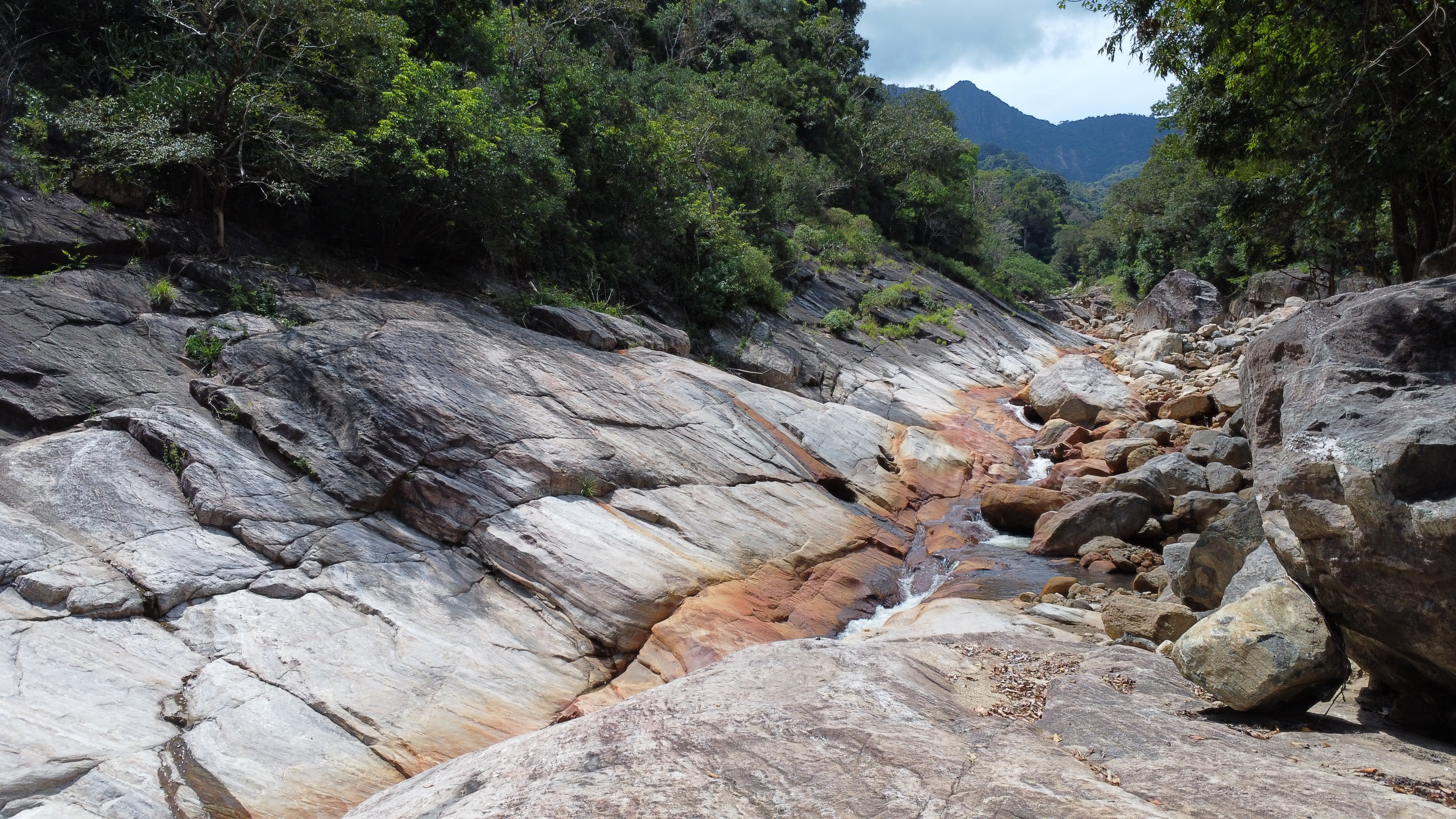 Na Ela to Galamuduna Village Trek | Hidden Knuckles Forest Experience
