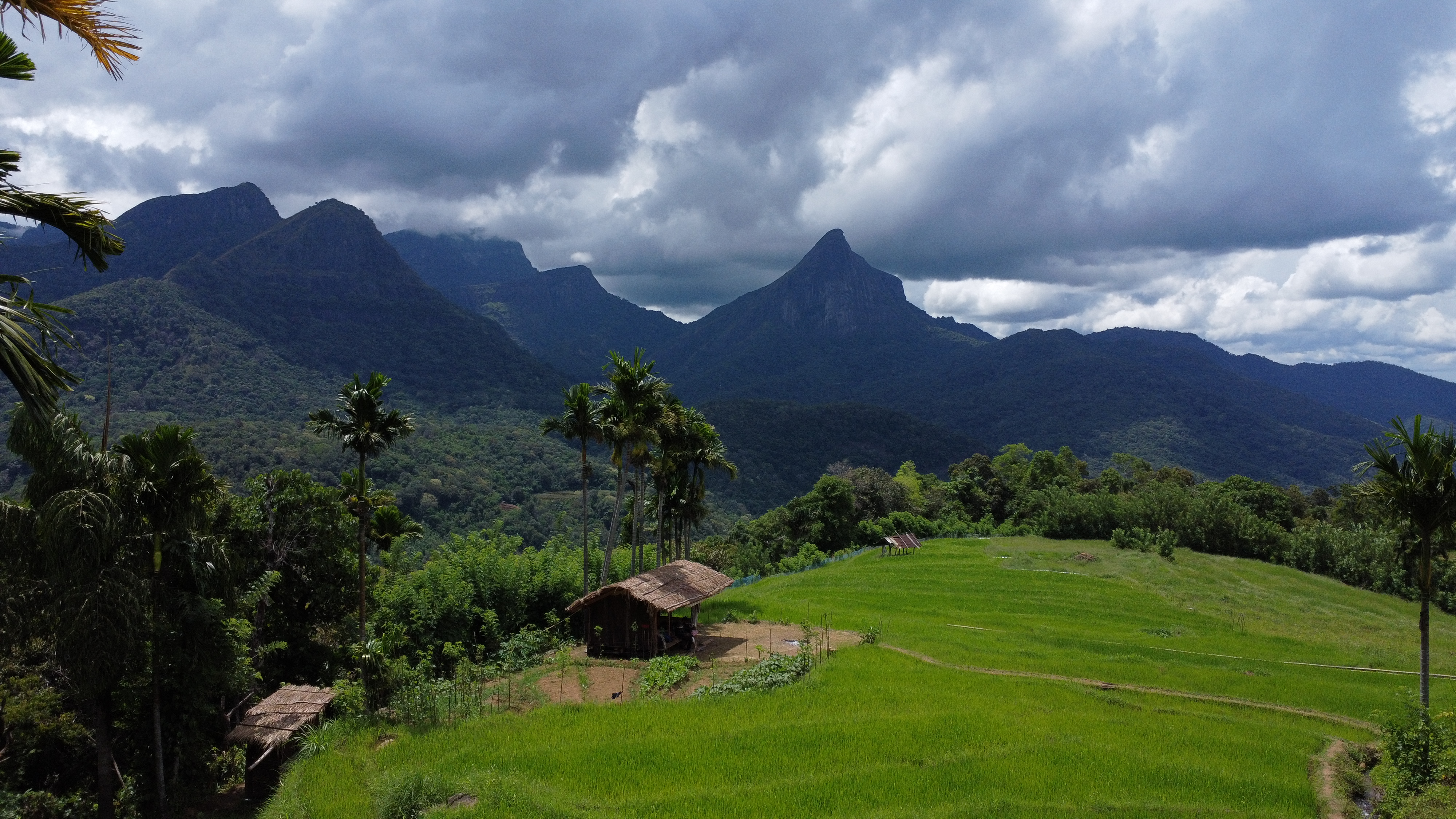 Na Ela Eco Hut Stay | Knuckles Mountain & Lakegala View Experience